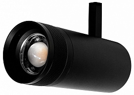 Светильник на штанге Lightstar Canno Pro 304207 500_191_2470979